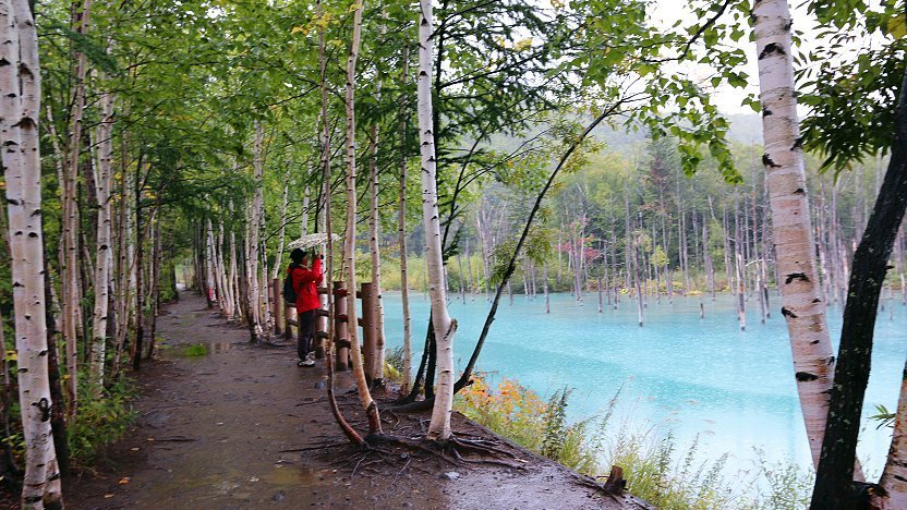 A photo of the Blue Pond near Shirogane Onsen. The photographer is on a muddy path, facing slightly towards the pond. The pond is a stunning, bright teal blue. The surrounding trees, and the trees in the pond, are tall and thin.