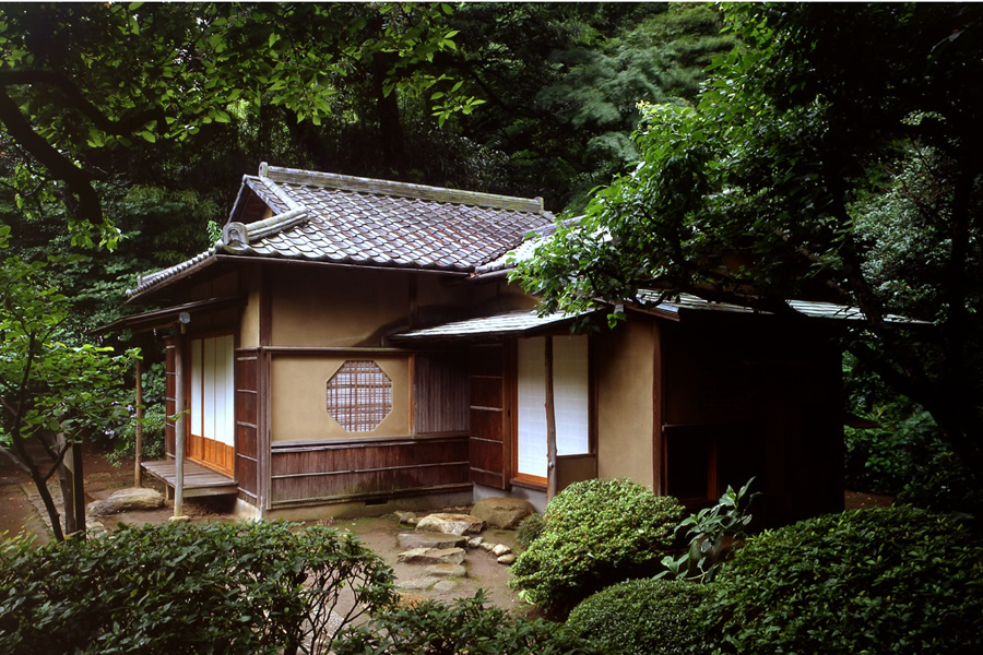 A Japanese tea house partially obscured by trees. The stones in front of the house are visibly wet from rain.